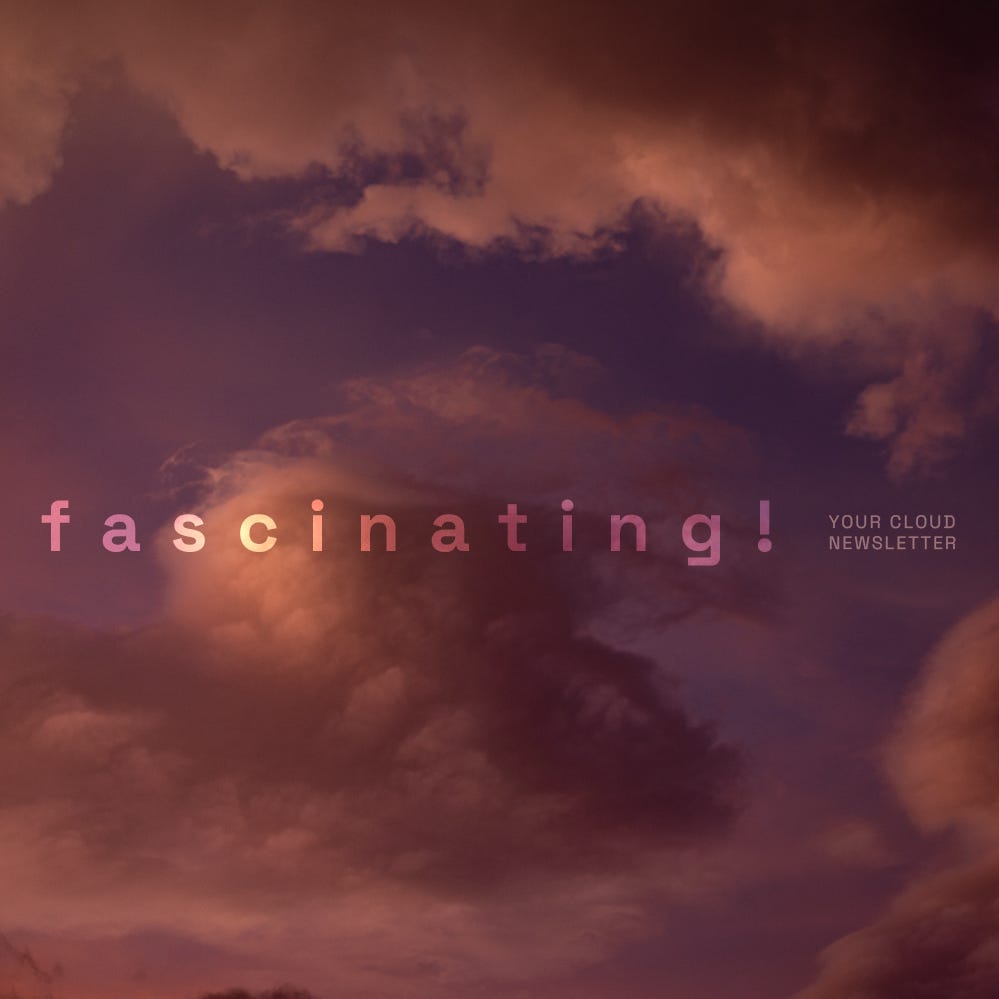 Substack profile picture for @fascinating