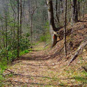 Stories I'm Old Enough to Tell