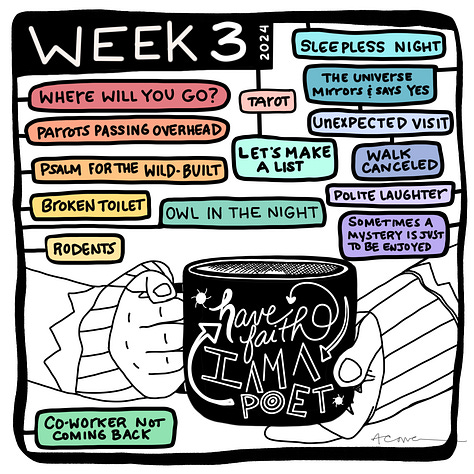 Weekly list comics 2-7 for 2024. A Cowen