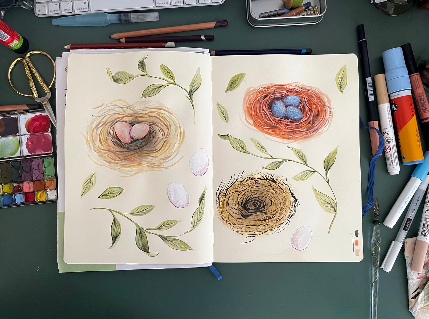 a sketchbook with 3 drawings of a nest and eggs and leaves around it a sketchbook with 3 drawings of a nest and eggs and leaves around it