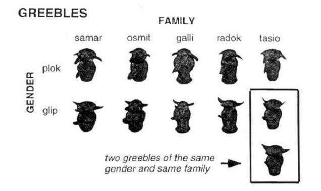 Want To Understand How Facial Recognition Works? You'll Need A Greeble Want To Understand How Facial Recognition Works? You'll Need A Greeble