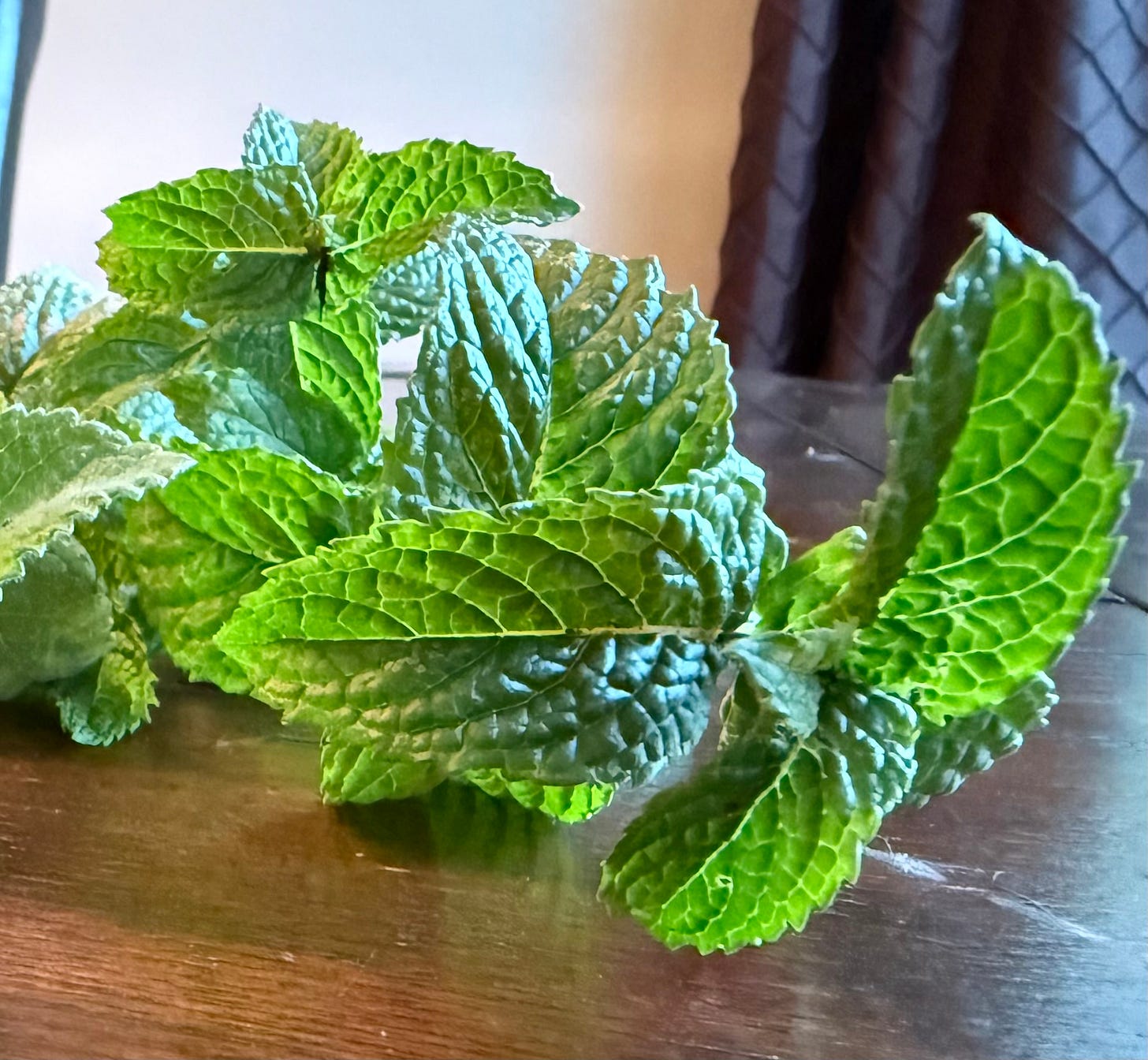 Mint leaves on a kitchen table.