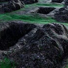 Πόσους σκότωσαν τα μέτρα για τον κορωνοϊό