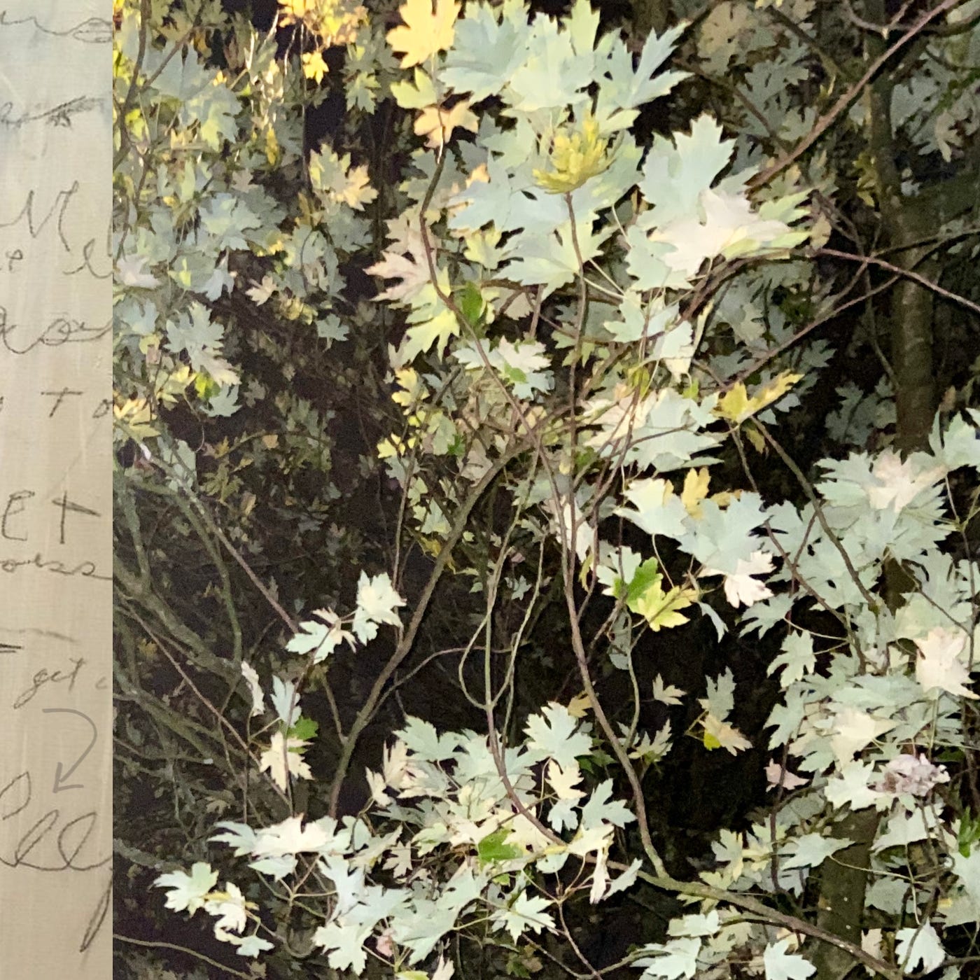 niwlio - seasonal cassette disorder