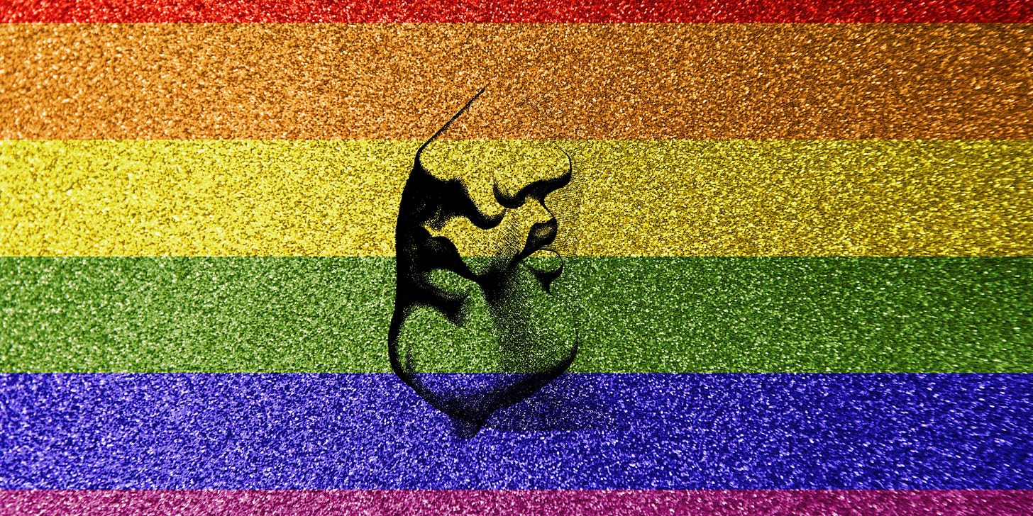 two feminine faces in profile on a glittery rainbow background 