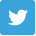Twitter icon