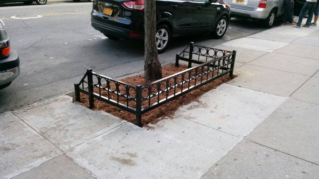 Tree Guards - Metal Tree Guards - NYC