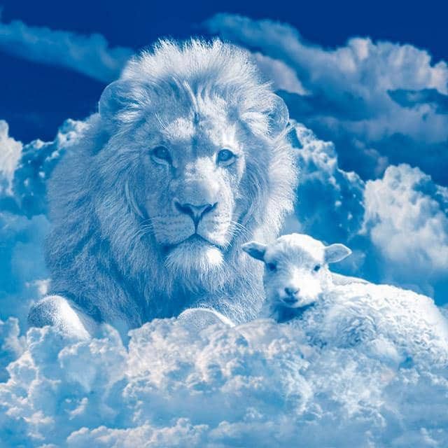 David Titiloye’s Substack