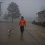 A stop along the misty way.