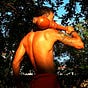 Dsm mdn's avatar