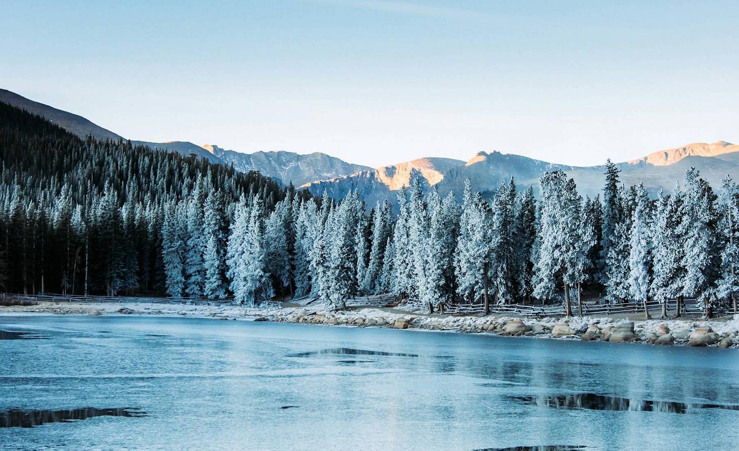 Snow covered pine trees and mountains during daytime | Photo by Jakob Rosen on Unsplash