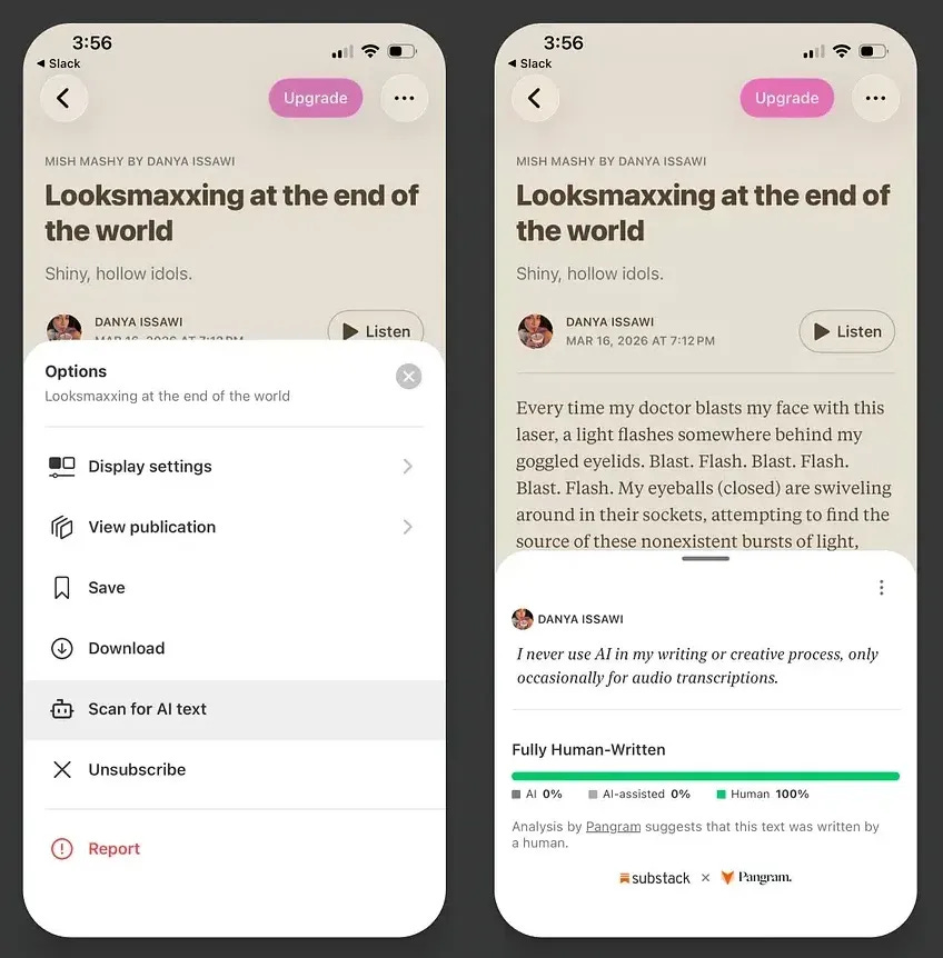 Substack's AI Detection Tool on the Substack app. Substack's AI Detection Tool on the Substack app.