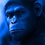 Floyd Toulet's avatar