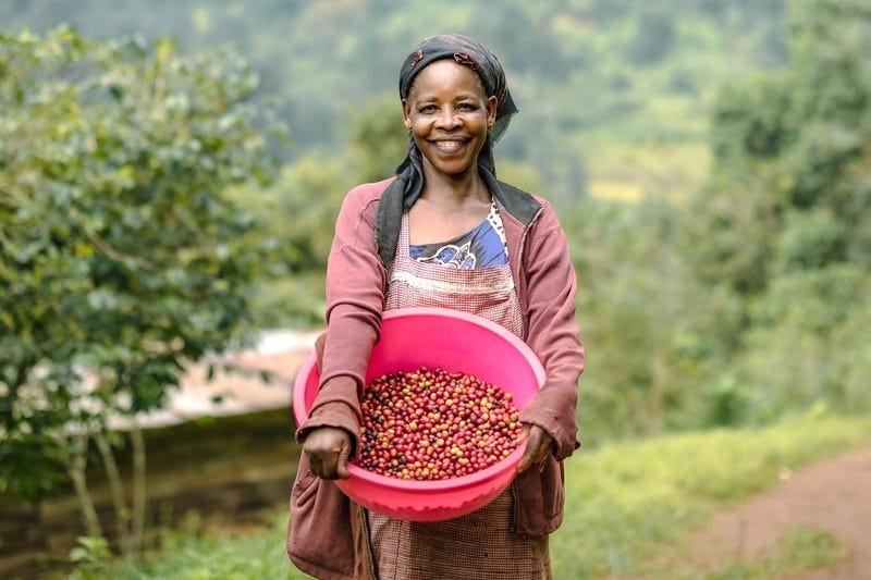 Ground Up Investing reaches first close on second agri fund
