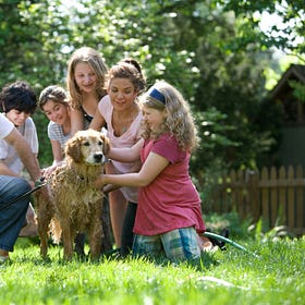10 BIG ways small families differ from large families.