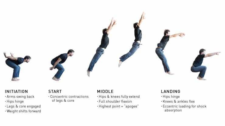 Jump Tutorial For Skill, Precision, And Power | GMB Fitness