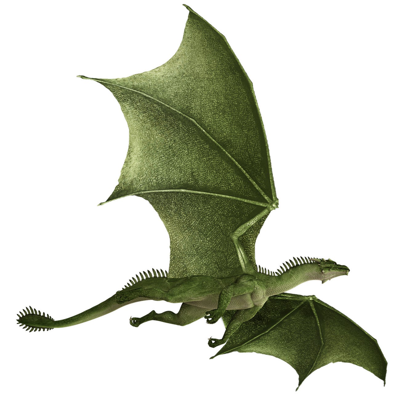 Tales from the Ornery Dragon