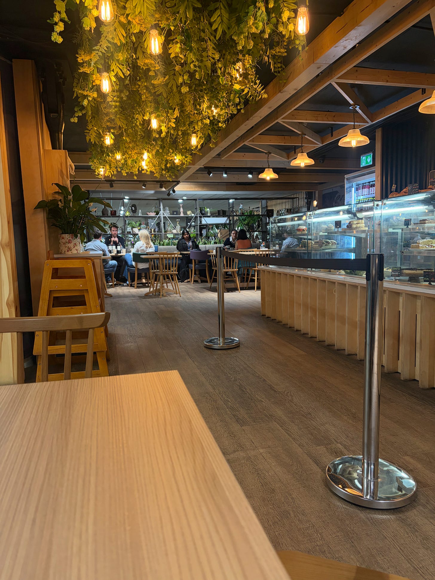 Wooden cafe with a lot of lights and green at the ceiling, customers at the far end on tables