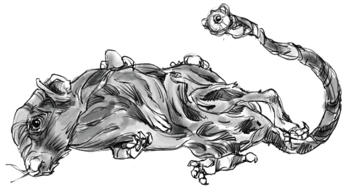 Effects of the Fungal Horror on a common mouse