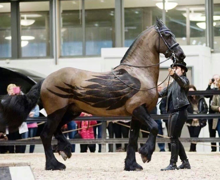 Awesome horse clip design : r/pics