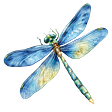 Dragonfly Adventures's avatar