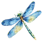 Dragonfly Adventures's avatar