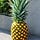 Hot Pineapple - a writer's journal