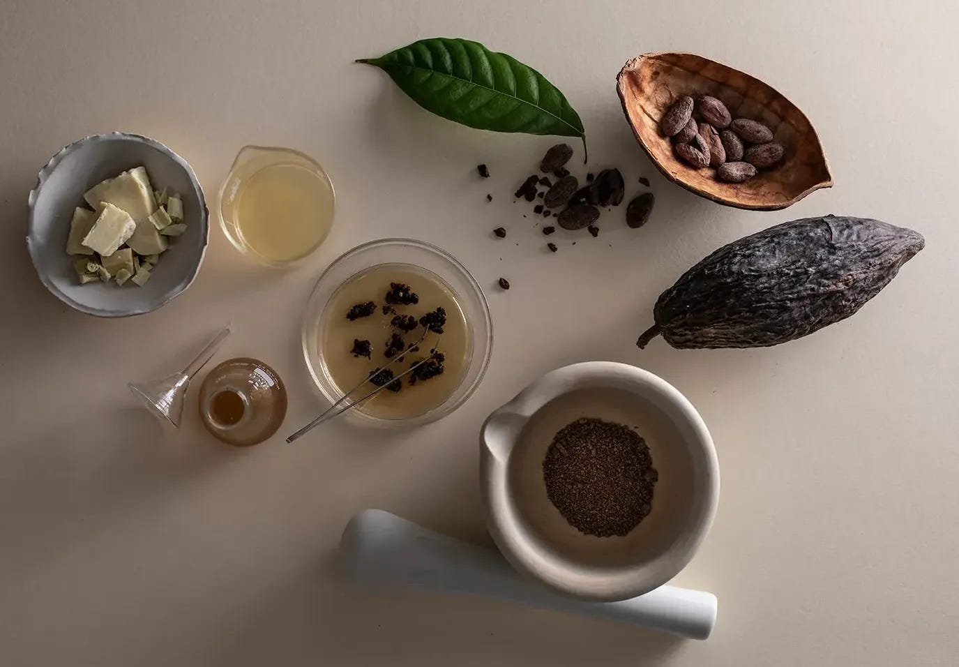 Celleste Bio harvests cocoa butter and cocoa powder from bioreactors.