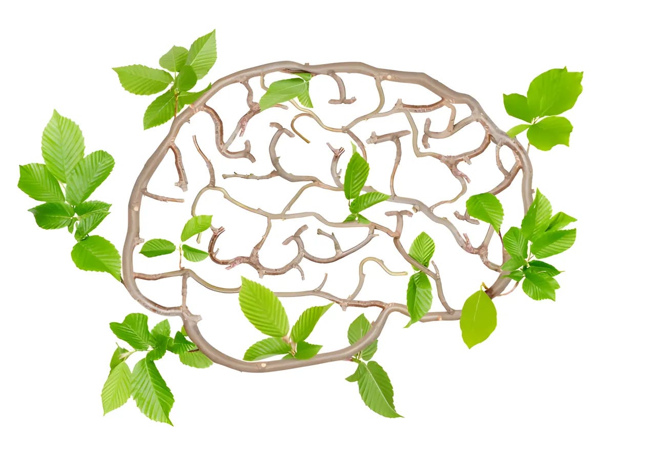 Graphic of brain made of vines and leaves signifying growth. Graphic of brain made of vines and leaves signifying growth.
