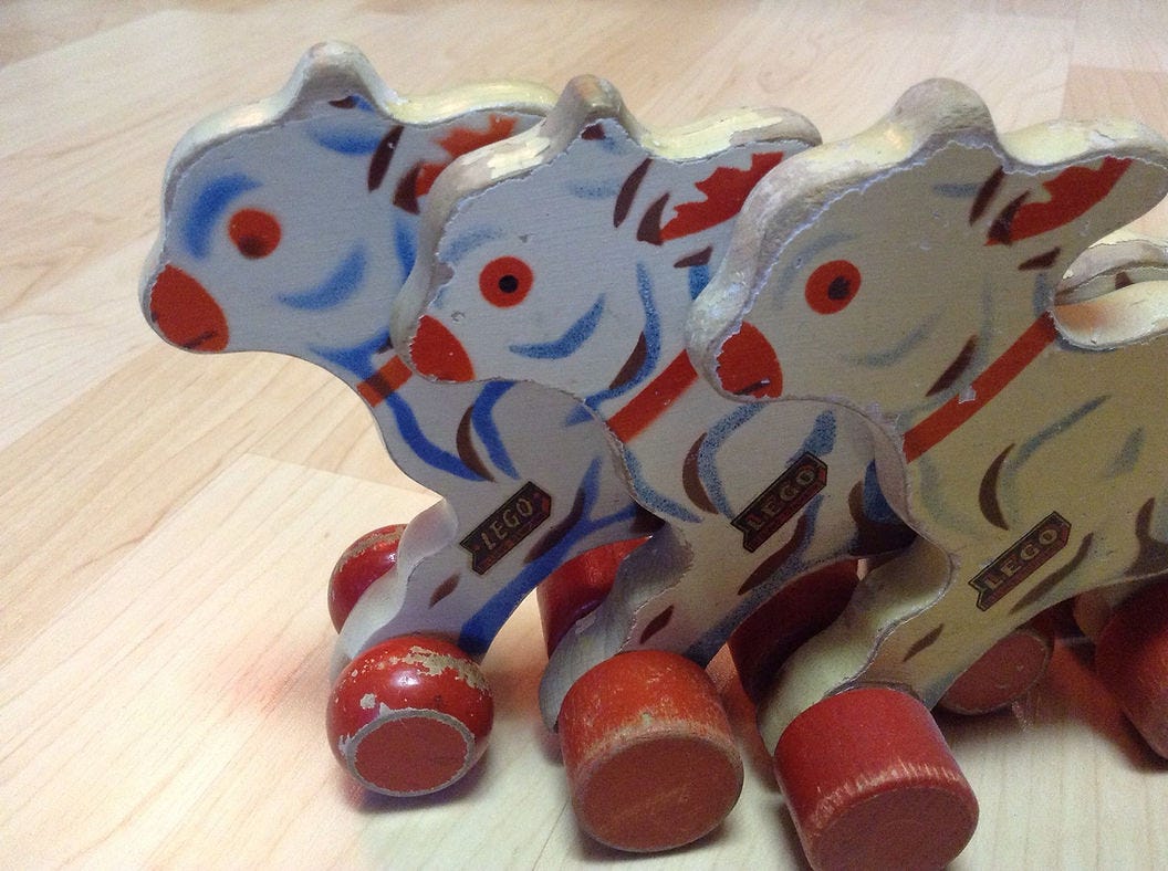 גדי? תוכי? צ׳יוואווה?! גדי? תוכי? צ׳יוואווה?!