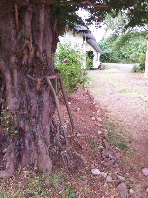 Tools Against Tree Tools Against Tree