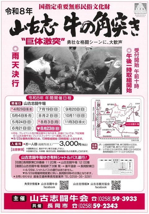 2026 角突きチラシ