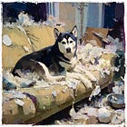 Husky Syndrome