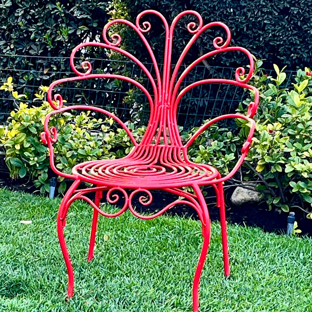 Early Morning Walking