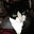 Sherri Meyer's avatar