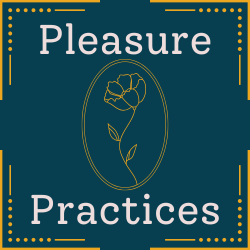 Artwork for Pleasure Practices