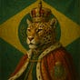 João Rafael Rodrigues Santillo's avatar