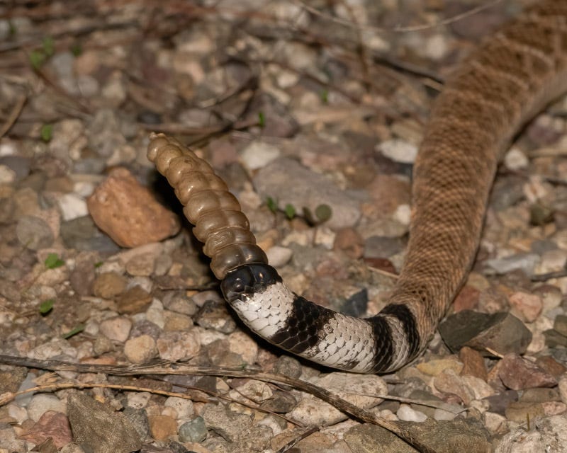 20250722-Sabino-18-Edit.jpg 20250722-Sabino-18-Edit.jpg