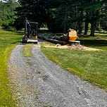 The Last New Leftist’s Substack