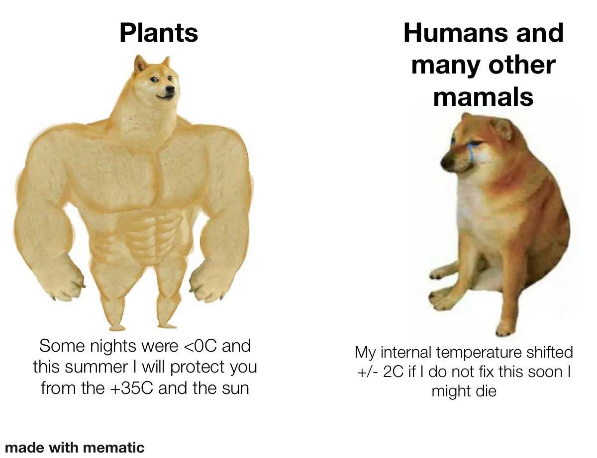 This meme image is divided into two panels. The left panel features a buff, muscular Doge (Shiba Inu) labeled "Plants." Below the image, it says, "Some nights were <0°C and this summer I will protect you from the +35°C and the sun." The right panel features a sad, crying Doge labeled "Humans and many other mammals." Below the image, it says, "My internal temperature shifted +/- 2°C if I do not fix this soon I might die." The meme humorously contrasts the resilience of plants in extreme temperature conditions with the vulnerability of mammals to even slight temperature changes.