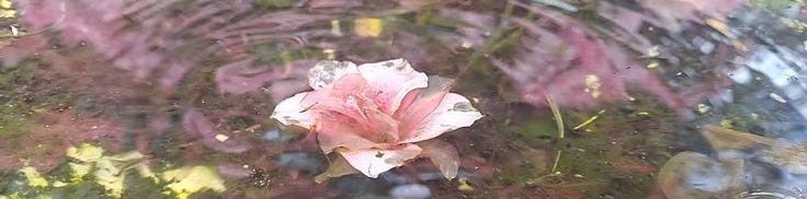 Obraz Pina z opowieścią