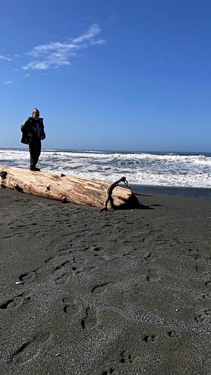a man stands on a large log on a beach. the sand is nearly black. the sky is very blue. a man stands on a large log on a beach. the sand is nearly black. the sky is very blue.