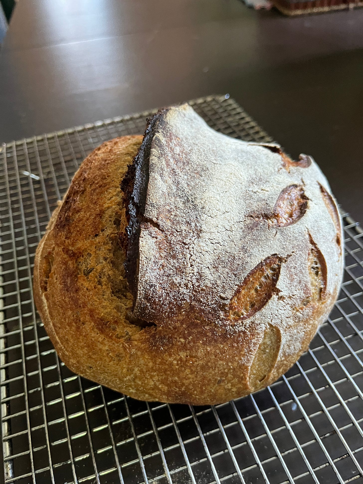 A perky loaf of sourgough bread with a top lightly dusted in flour with a leaf motif scored acorss the top and a tell-tale "ear" of crust pulling away