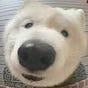 moyed's avatar