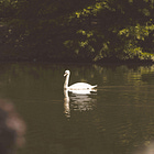 Beyond the Deck #3: How to build a quiet authority and command every room you are in