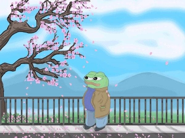 Pin by Quây Đà on N | Frog, Frog wallpaper, Pet frogs