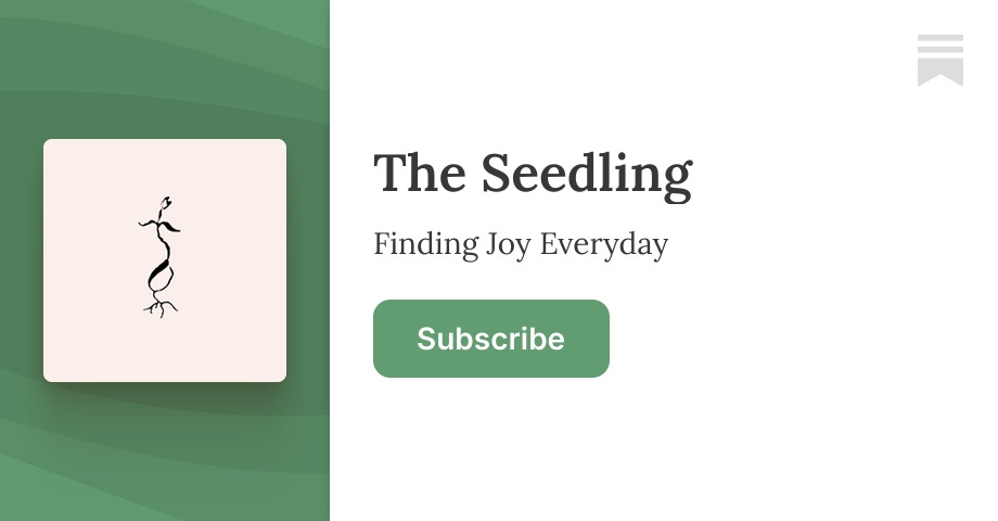 The Seedling | Willow Crossley | Substack