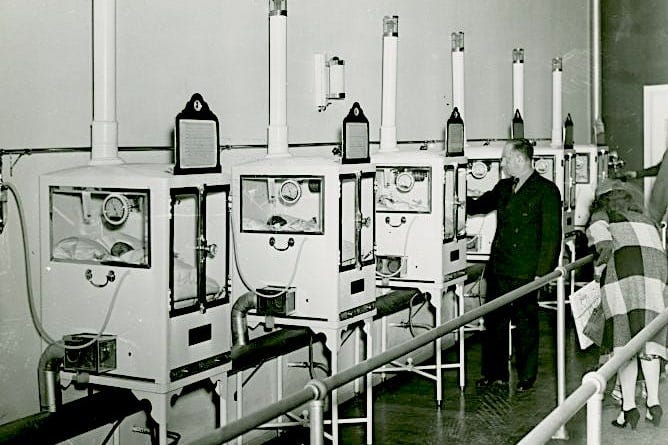 Preemies on Parade: How a Fake Doctor's Coney Island Incubator Shows Ended  Up Saving Thousands of Lives