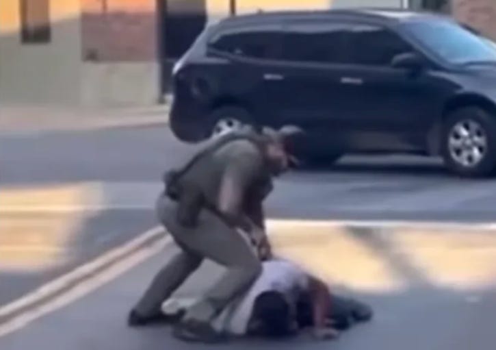 Leonel Chavez being detained by ICE officers in social media video.