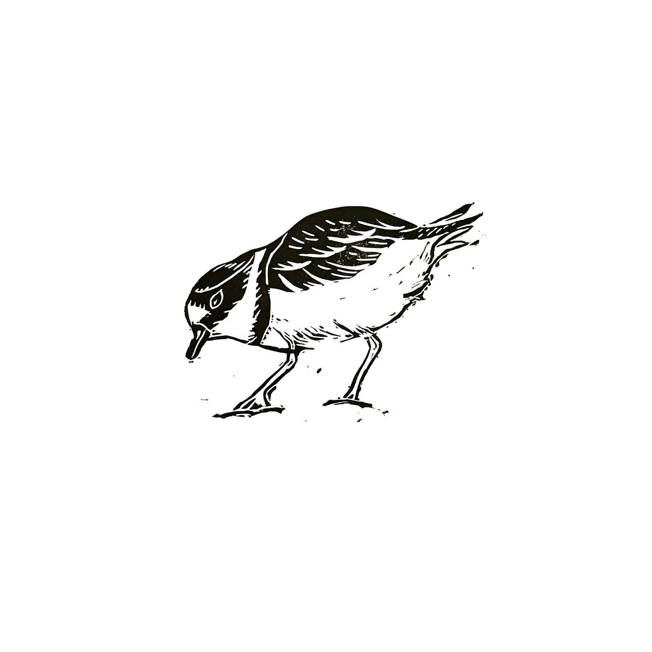 Loon Dude logo